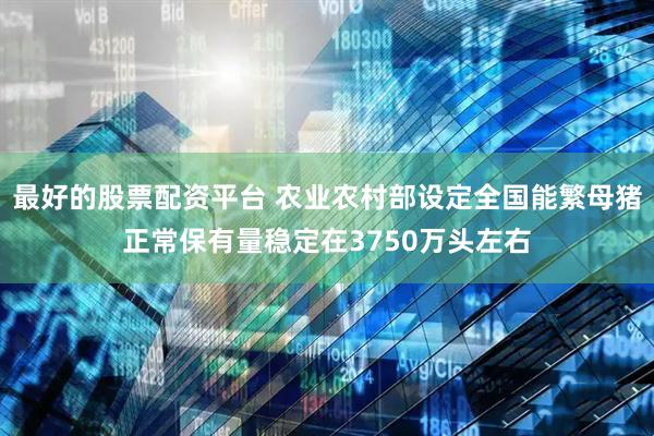 最好的股票配资平台 农业农村部设定全国能繁母猪正常保有量稳定在3750万头左右